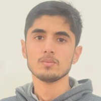 Waleed Waheed