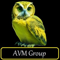 AVM Group