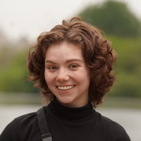 Ari Curtis