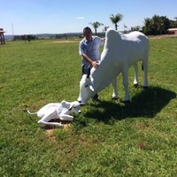 Diego Presidente Epitácio