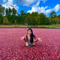 Min Kim, Cpa