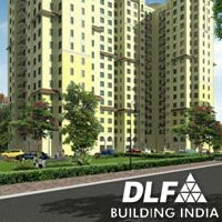 DLF India