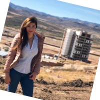 Denisse Arroyo Ventura