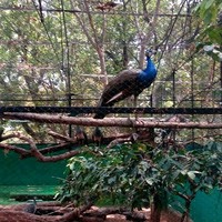 Sachin Puttu