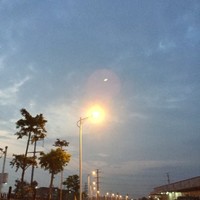 林银龙