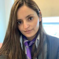 Minerva S.