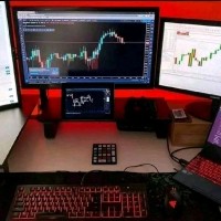 FOREX TRADER
