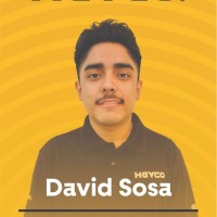 David Eduardo Sosa Hernandez