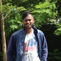 Gokul Raj D N