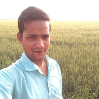 Arpit Dagli