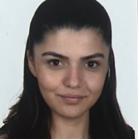 Didem Ok