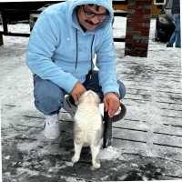 Mohammed ali Acharath