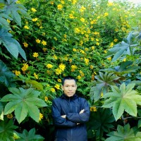 Vo Manh Hung