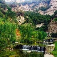 程建红