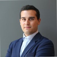 Ludovico Ridi