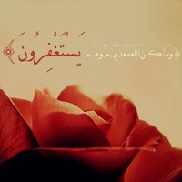 M Alsaadi