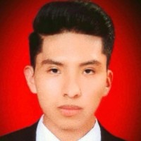 Edwin Michael Flores Vega