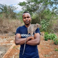 Venance Kiria