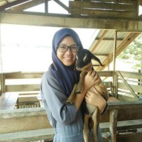 Fatima Jack
