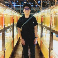 Surya Fajar