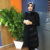 Yasemin Biber