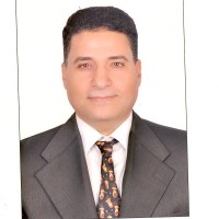 abdel rahman elsayed