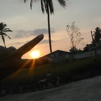 vathsala farvis