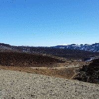 Harrison Pentland-Inwood