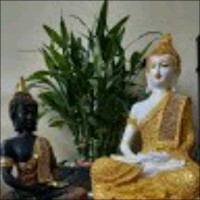 Babu Reddy