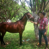 Daniel Rosales