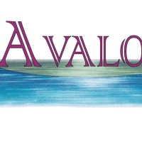 Avalon Água e Ambiente