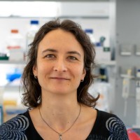 Birgit Ritter