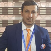 Sayed Hamed Sayed