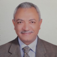 Anas El-Hosseiny