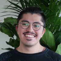 Alexis Emmanuel Lozano Angulo