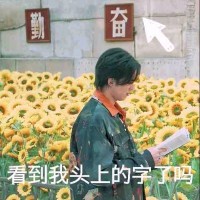 吴诗意