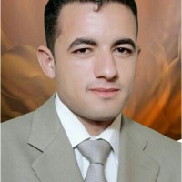 Ahmed Sayed Ahmed