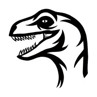 Online Raptor