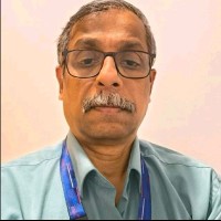 Dinesh K Parameswaran Pillai