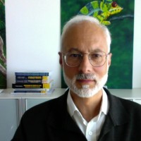 Gonzalo Curiel Fernández