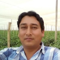 Carlos Alfredo Cabrera Jauregui