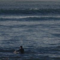 Manuel Campos Sanchez