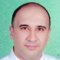 Walid Ashry