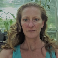 Susan Wardlow