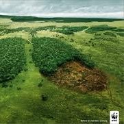 Herminio Carrasqueira