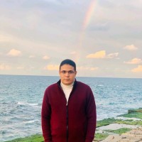 Mohammed Abdelhady