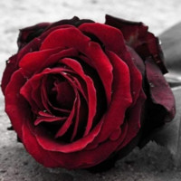 Theer Kalaji