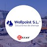 wellpoint well