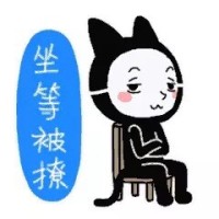 刘智优