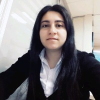 Berivan Y.